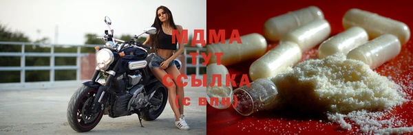 ECSTASY Алзамай